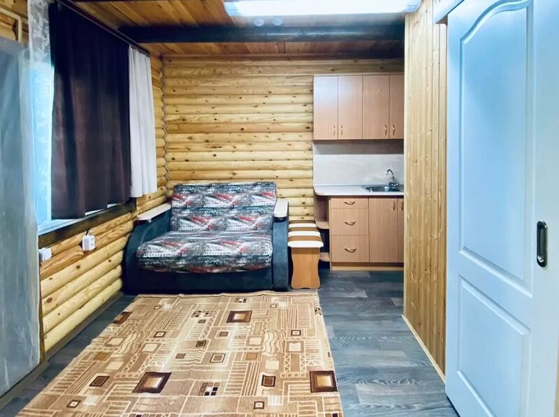 Пушкинская ВИП