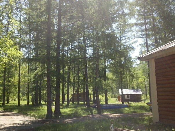 Среди вековых деревьев | Спутник, Республика Хакасия