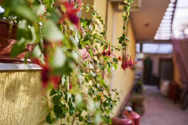 Гостевой дом Грант, Имеретинская низменность, Краснодарский край