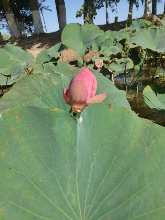 Фото из отзыва от 17.09.2022