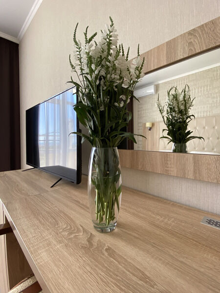 Стандартный 2-местный 1-комнатный Double (с видом на море)