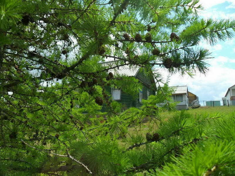 Территория | Дача Зеленая, Республика Хакасия