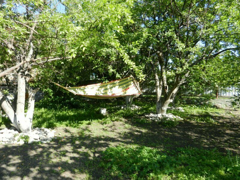 Гамак | Постоялый двор, Алтайский край