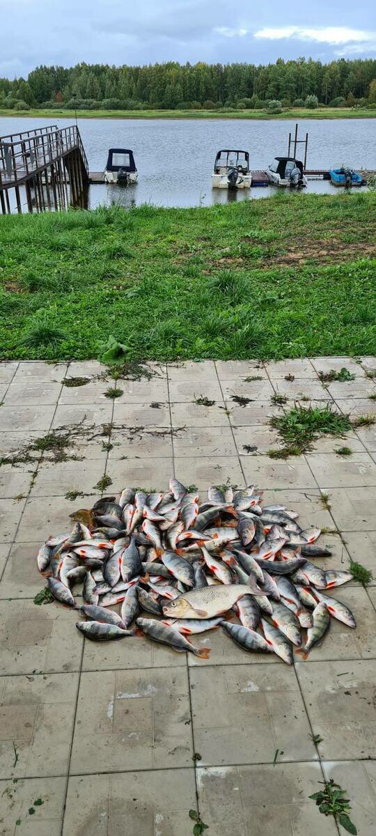 Фото 15 из отзыва о гостевом комплексе На волне