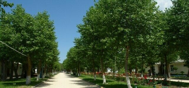 Волна | Волна, Краснодарский край