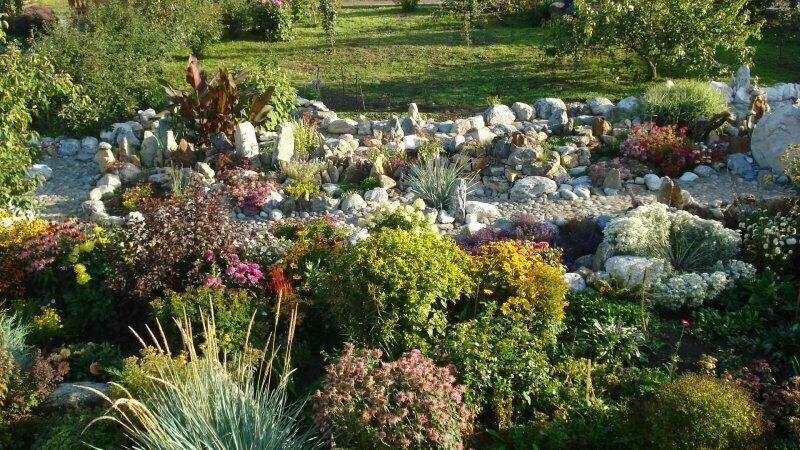 Полисадник | Семьи Болотовых, Алтайский край