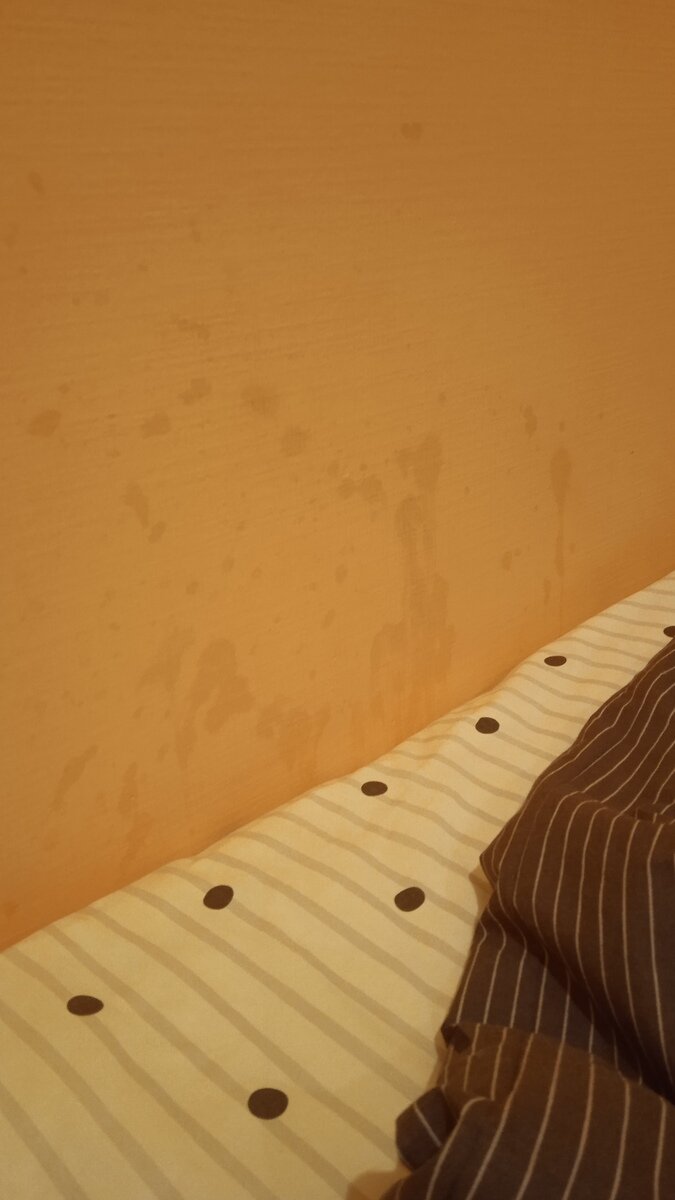 Фото 5 из отзыва о загородном клубе ОРЕХ