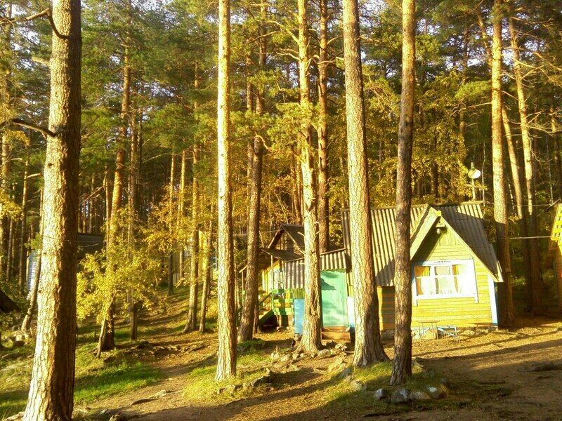 Среди сосен | Белочка, Челябинская область