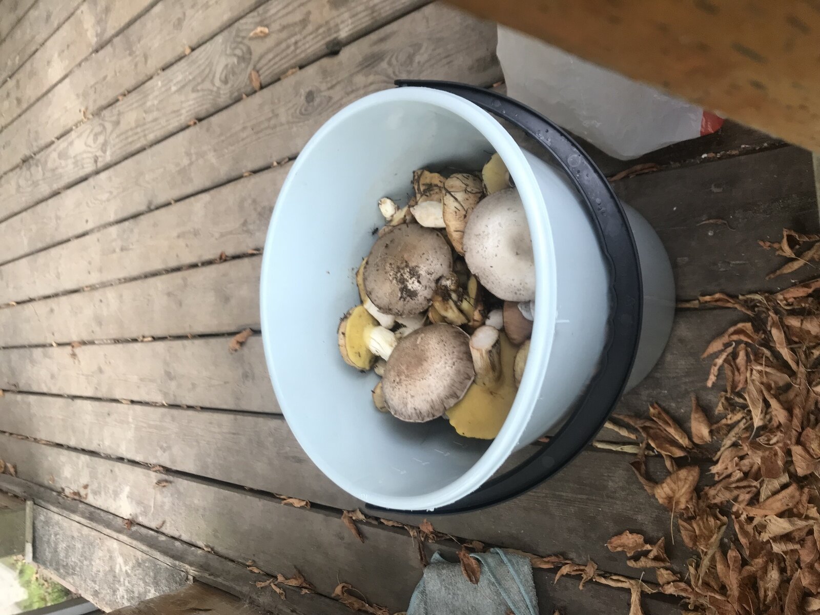 Фото 30 из отзыва о базе отдыха Дон