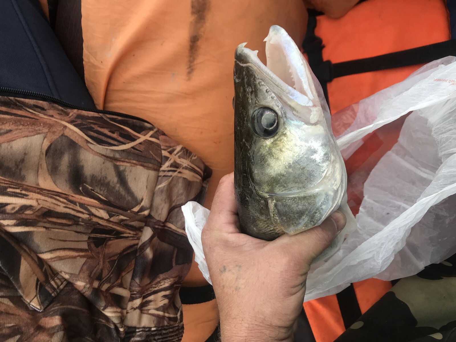 Фото 29 из отзыва о базе отдыха Дон