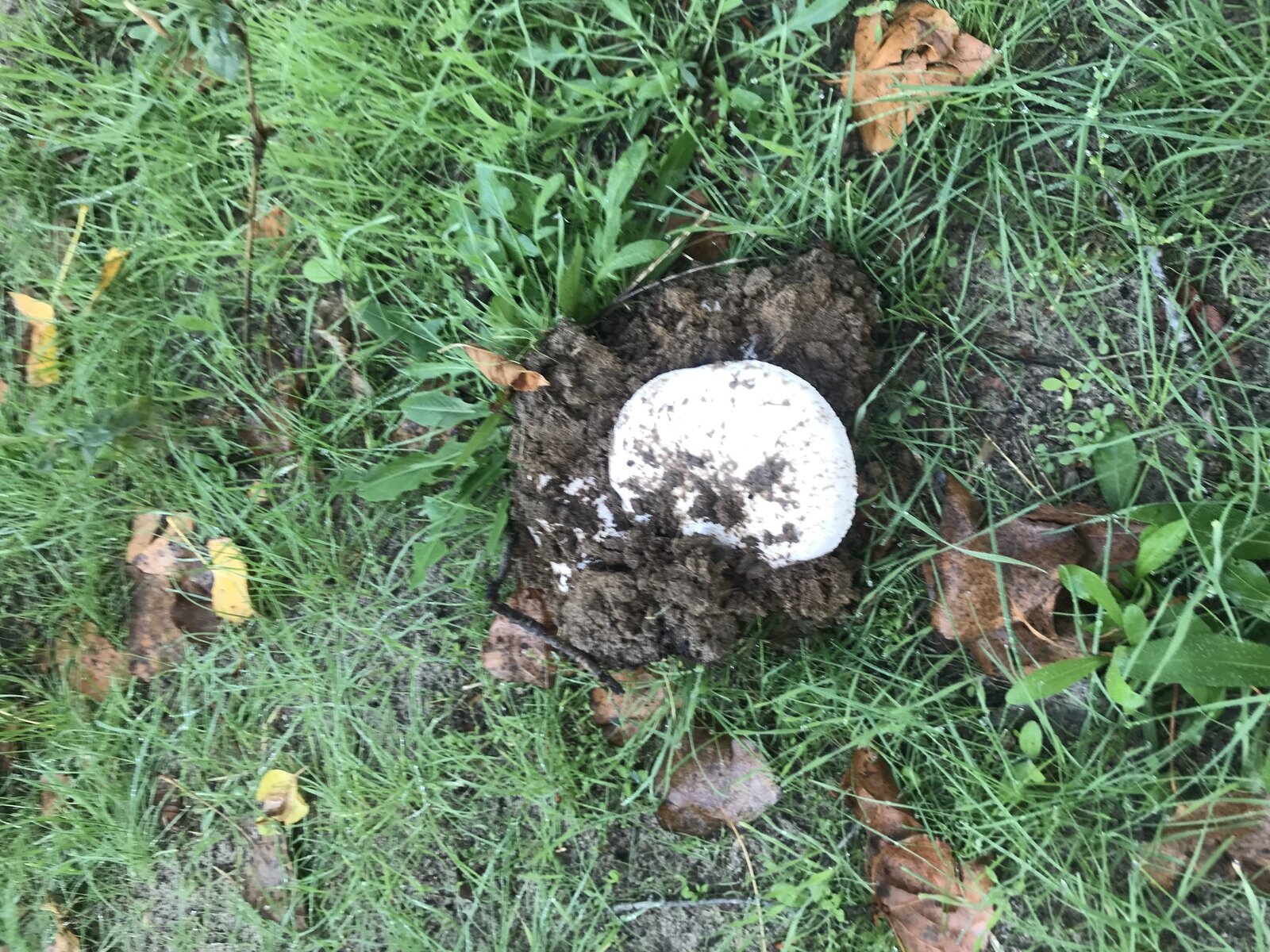 Фото 32 из отзыва о базе отдыха Дон