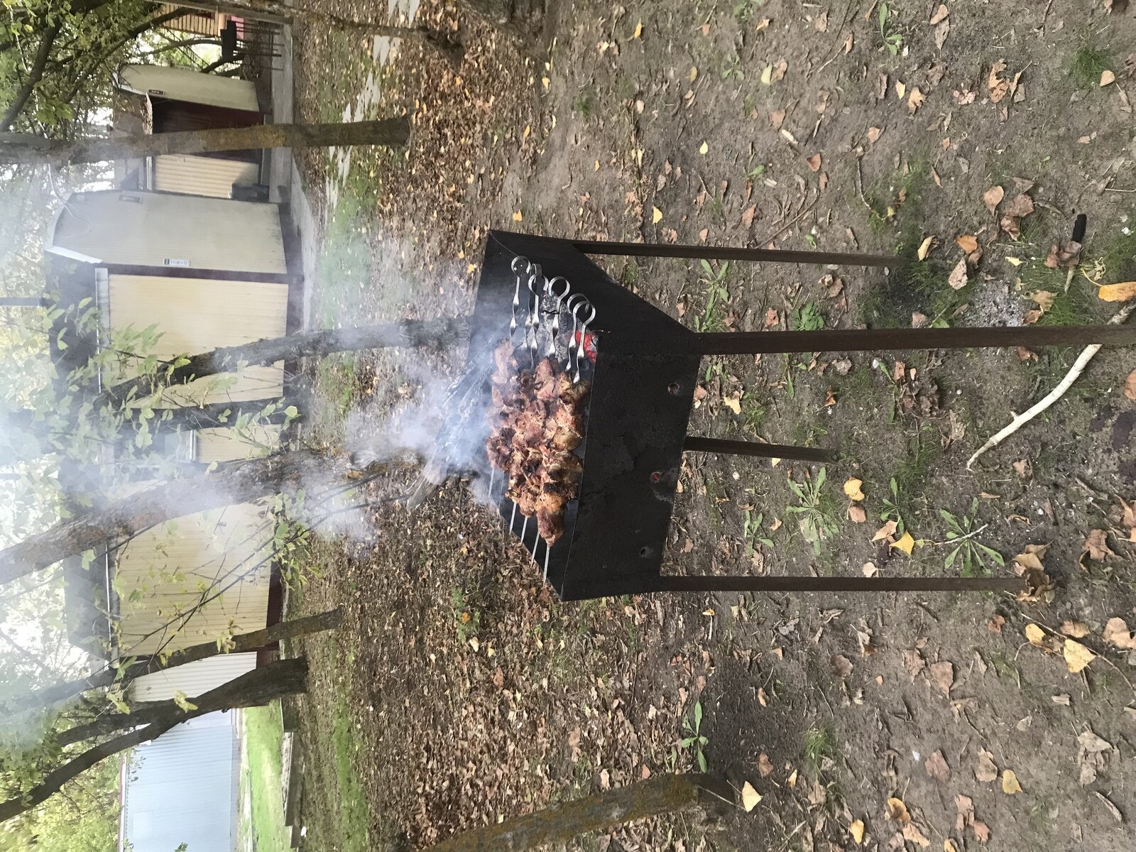 Фото 31 из отзыва о базе отдыха Дон