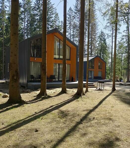 Горки, Ленинградская область: фото 4