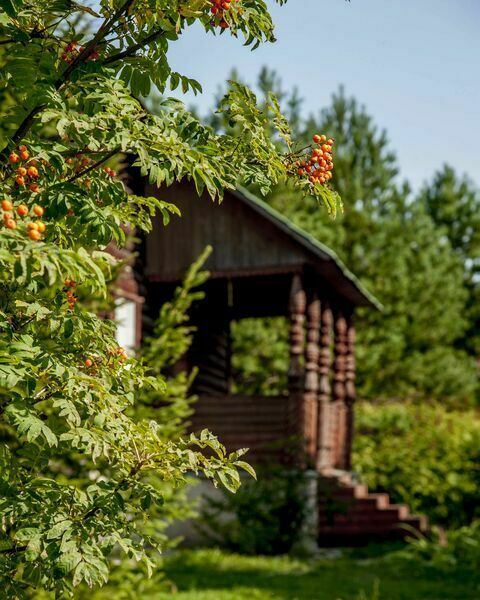 Барское подворье, Рязанская область: фото 4