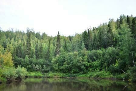 Местные пейзажи | Карпоспат, Ханты-Мансийский автономный округ