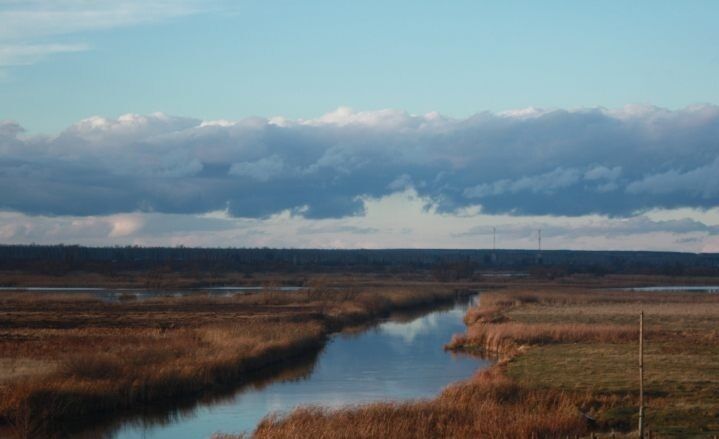 Окрестности | Усадьба Янцевых, Тамбовская область