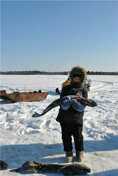 Улов | Шамья, Ханты-Мансийский автономный округ