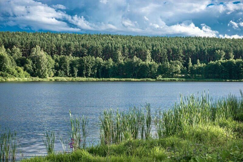 Усадьба Мосоловых, Тульская область: фото 2