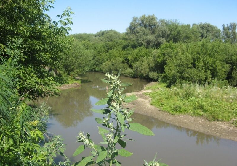Река Маралиха | Казачья усадьба, Алтайский край
