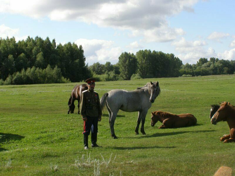 Кони и хозяин | Казачья усадьба, Алтайский край