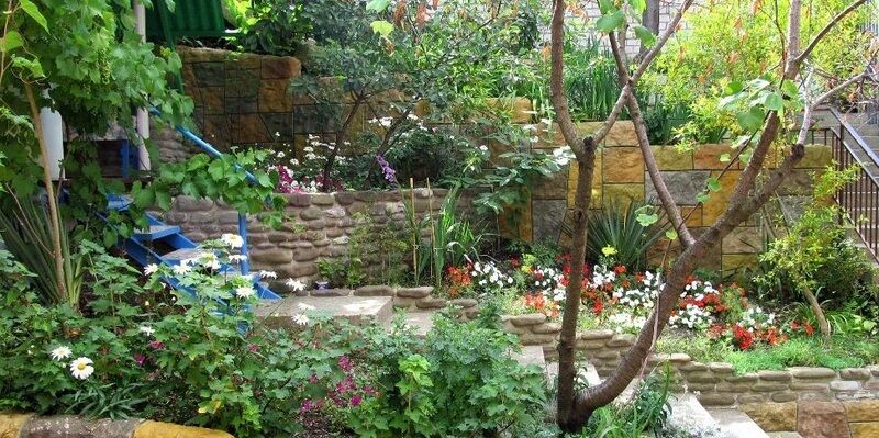 Двор | Альта, Краснодарский край