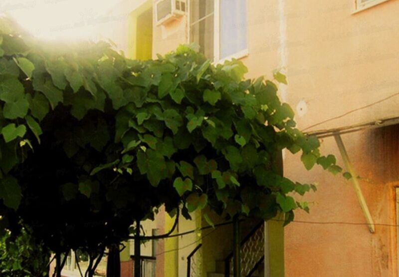 Вход в дом | Виолетта, Краснодарский край