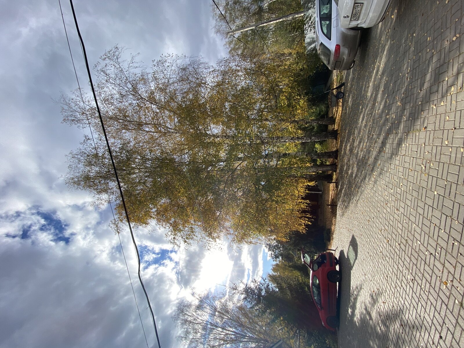 Фото 27 из отзыва о базе отдыха На Маклоке