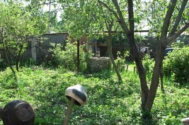 Плетнь на территории подворья, | Подворье купца Калинина, Владимирская область