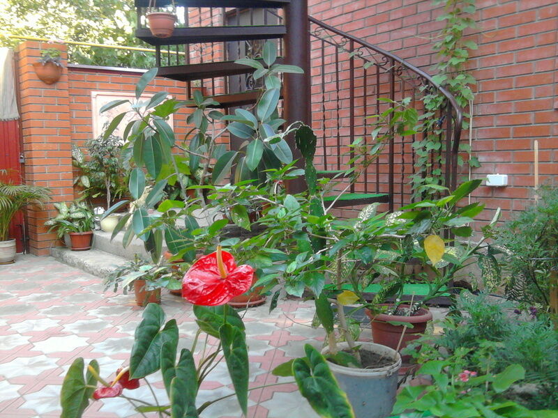 Лестница | Катерина, Краснодарский край