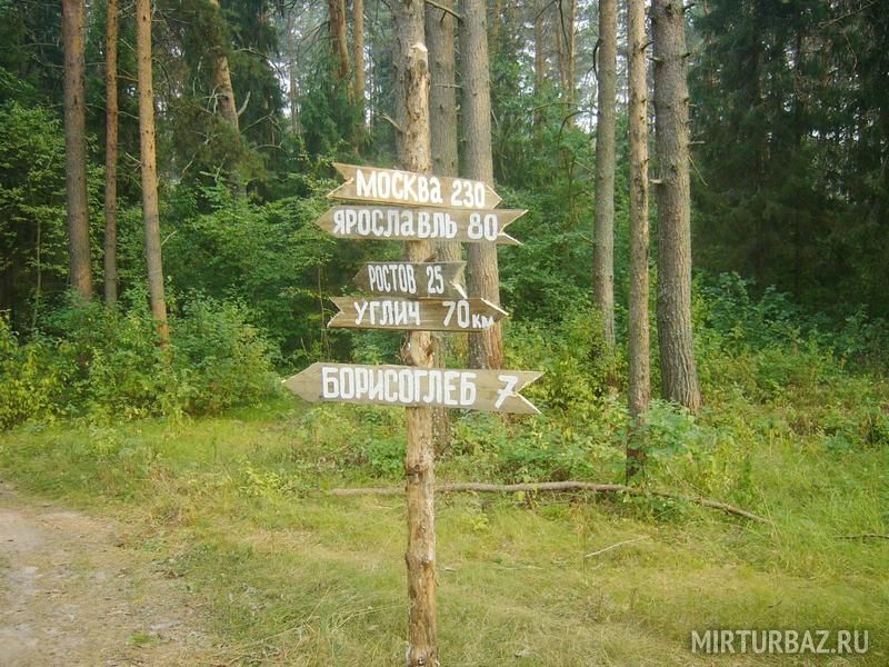 Спокойный отдых | Волчий лог, Ярославская область