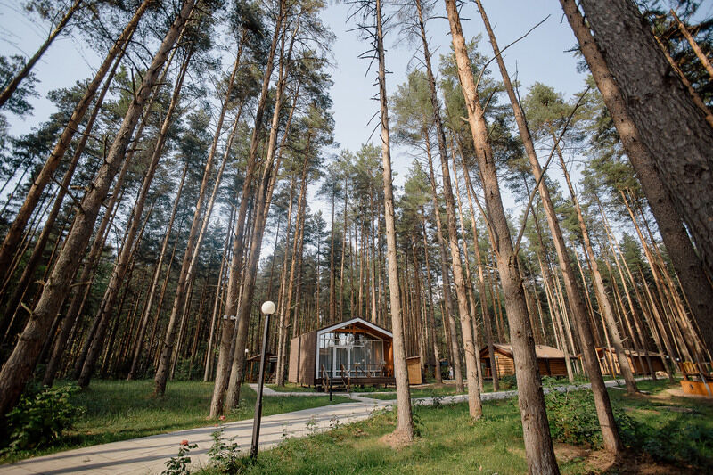 Sherwood Park Hotel, Ярославская область: фото 5