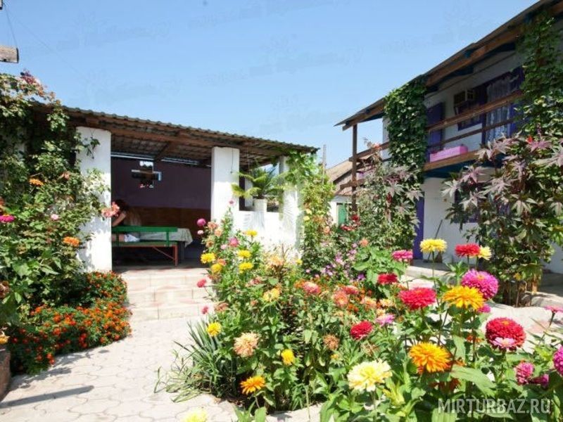 Двор | Дарья, Краснодарский край