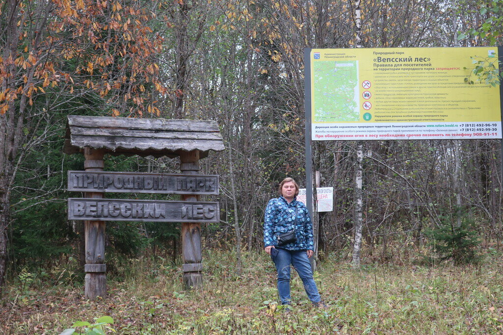 Фото из отзыва от 11.10.2022