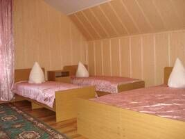 «Эконом», Гостевой дом У Михалыча, Благовещенская