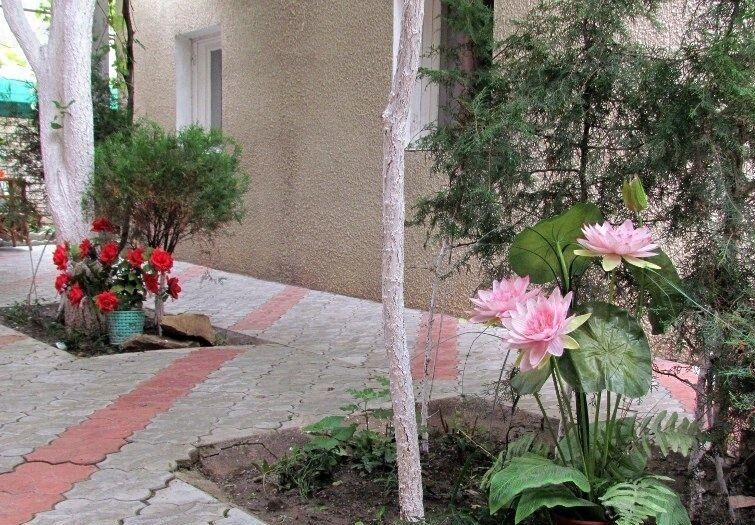 Гостевой дом Александр, Краснодарский край, Витязево 