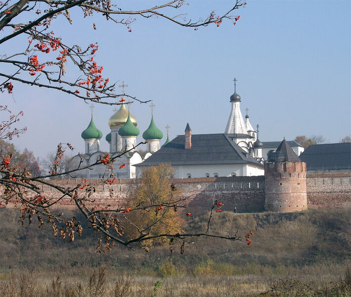 Вид на монастырь | Суриковых, Владимирская область