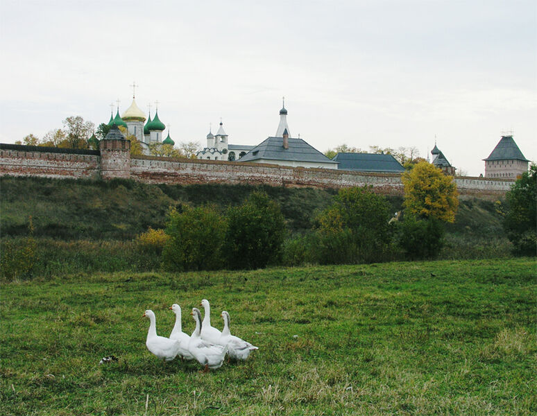 Окрестности | Суриковых, Владимирская область