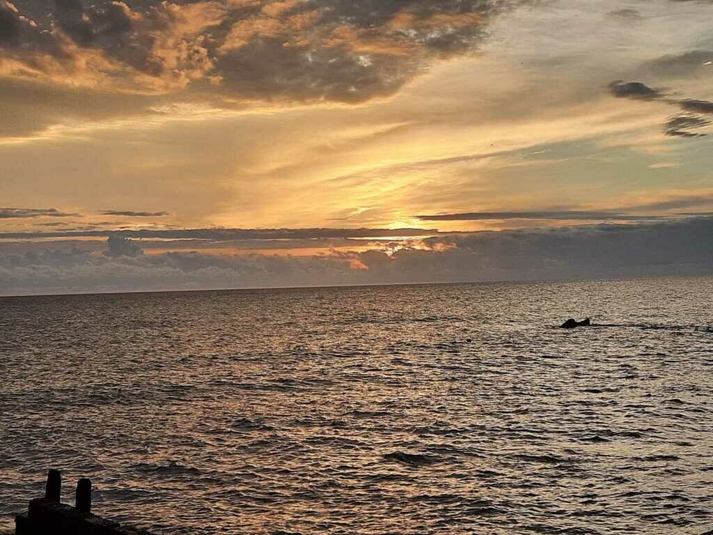 Фото из отзыва от 01.10.2022