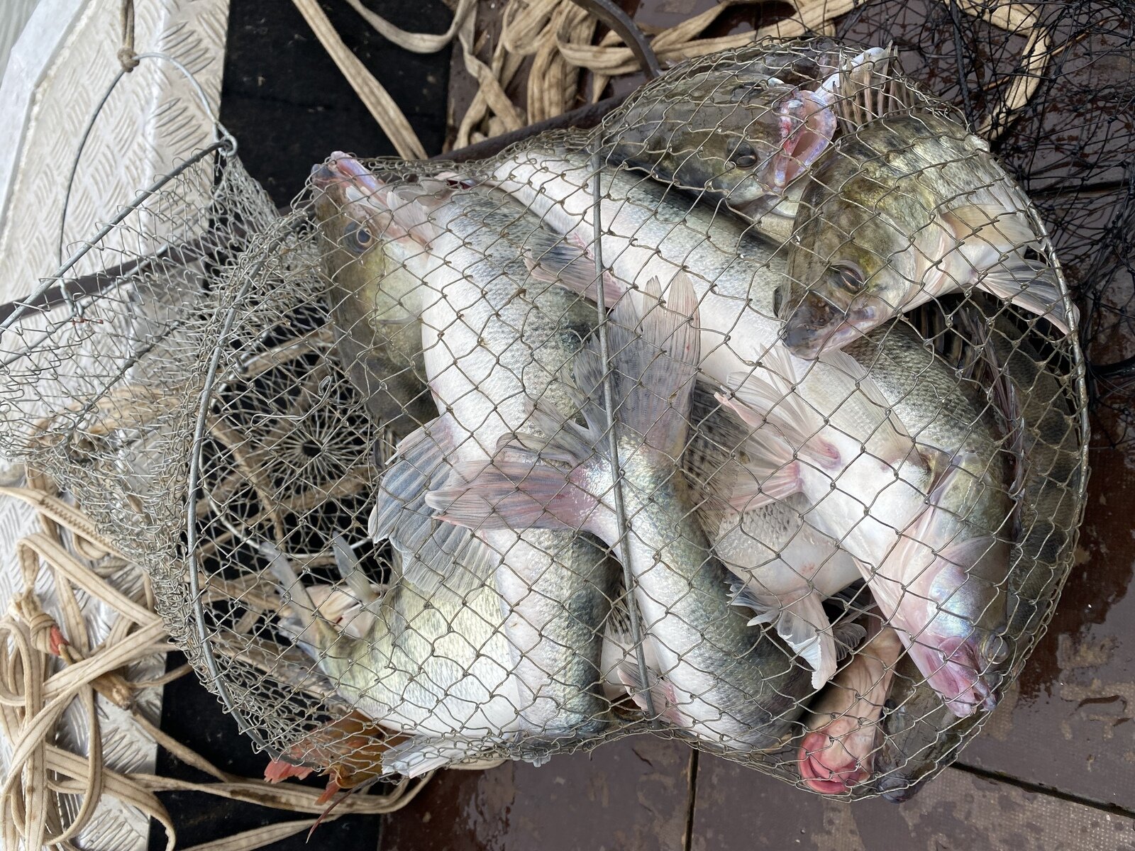 Фото 5 из отзыва о базе отдыха Венеция на Каспии