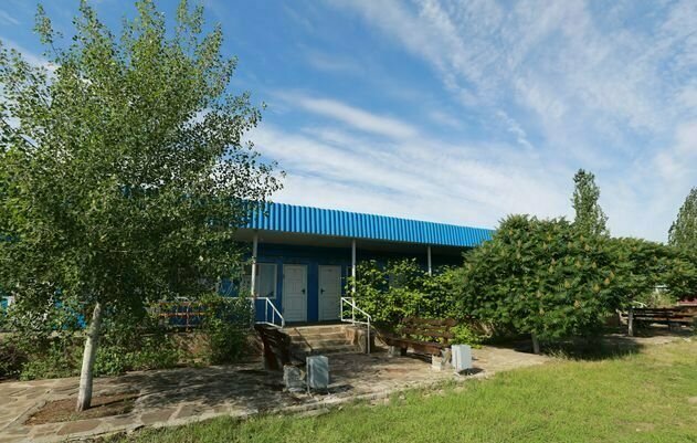 Донские просторы, Волгоградская область: фото 4