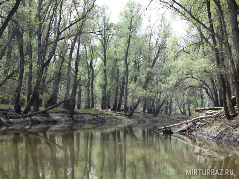 Озеро | Усть-Чумыш, Алтайский край