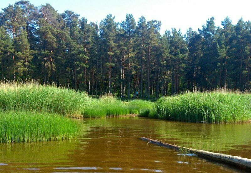 Река | НИВА-СВ, Ленинградская область