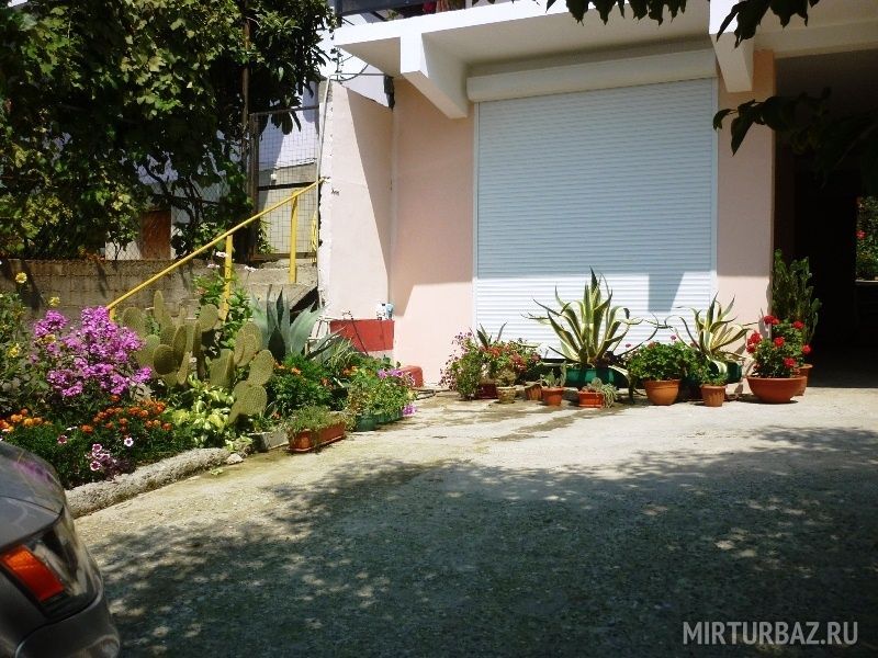 Озеленённая территрия | У Полины, Краснодарский край