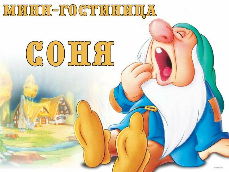 Мини-отель Соня, Республика Карелия, Петрозаводск 