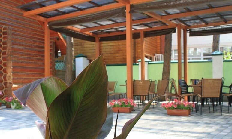 Двор | Диона, Краснодарский край