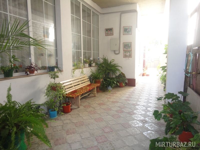 Множество растений | Поцелуй солнца, Краснодарский край