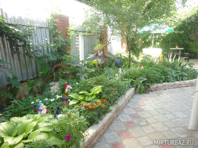 Озеленённая территория | Поцелуй солнца, Краснодарский край