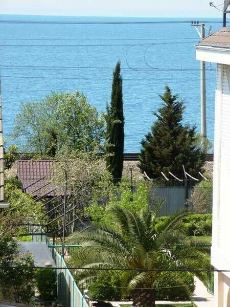 Вид на море | Ника, Краснодарский край