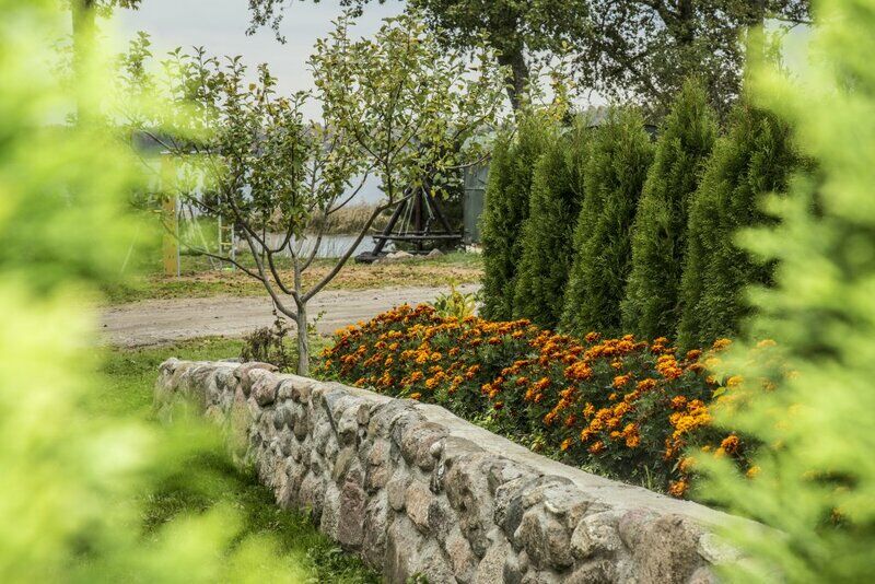 хутор Скреблово, Ленинградская область: фото 2