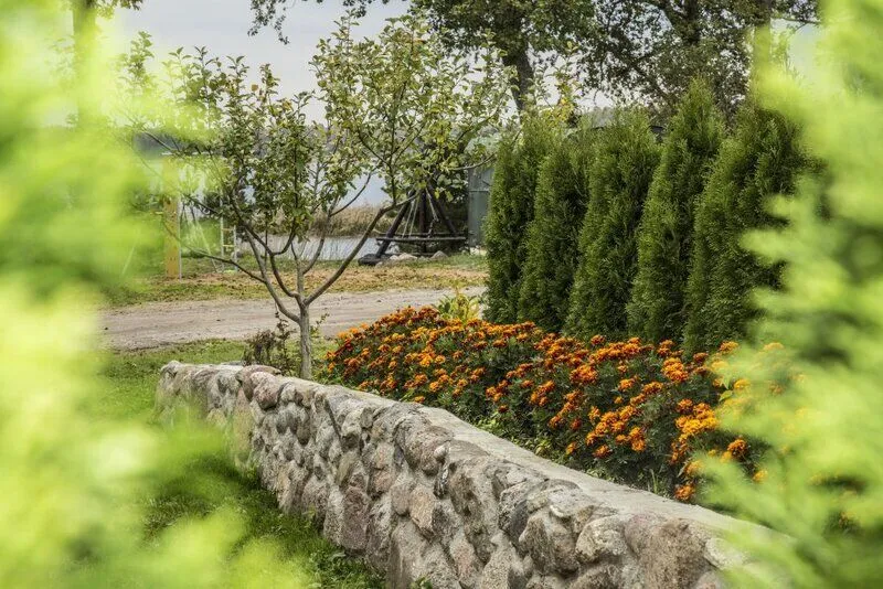 хутор Скреблово, Ленинградская область: фото 2